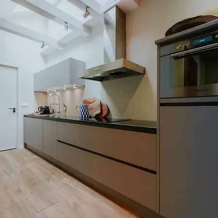 Stadsappartement Xl Begane Grond Met Luxe Keuken * Oisterwijk